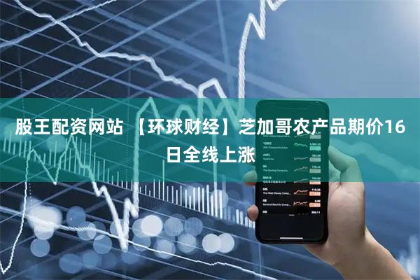 股王配资网站 【环球财经】芝加哥农产品期价16日全线上涨